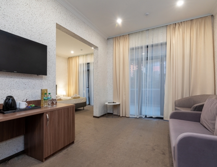 Полулюкс 2-местный 1-комнатный, вид на горы, корпус 1 - Дом отдыха «Нарт» Гагра