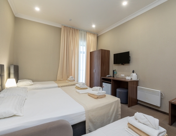 Стандарт 3-местный 1-комнатный без балкона, корпус 1 - Дом отдыха «Нарт» Гагра